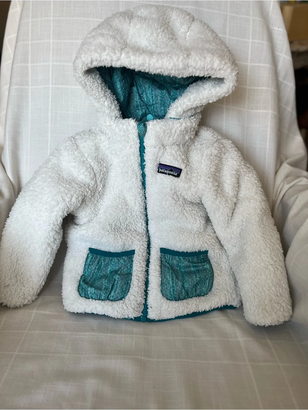 Patagonia Teal & White Reversible Hooded Jacket